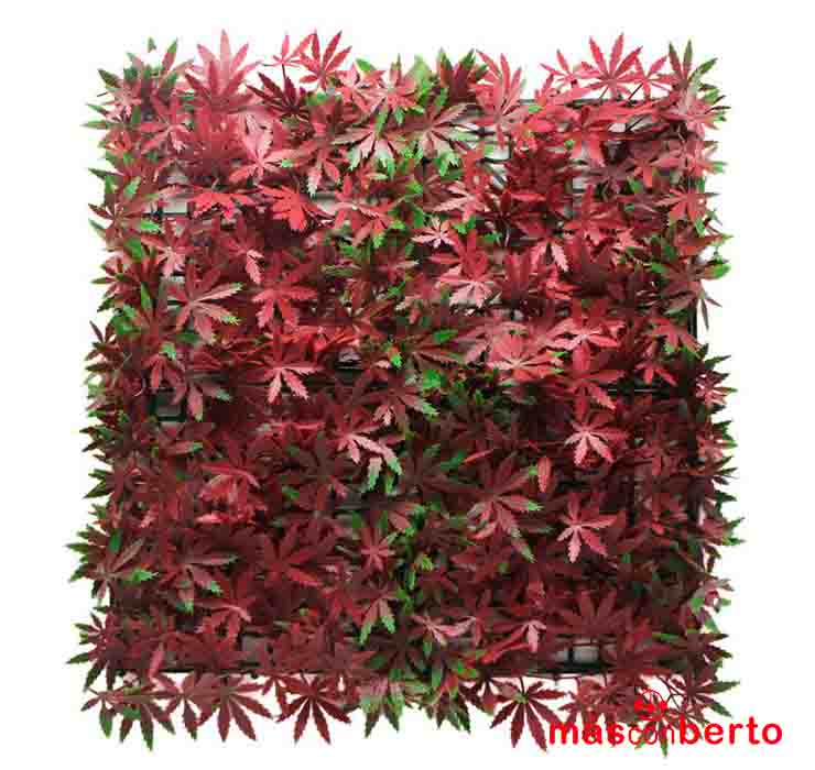 Jardin Vertical 50x50cm Red...