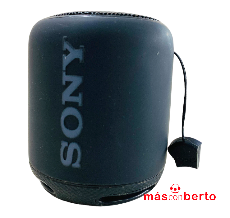 Altavoz Sony SRS-XB10 Negro 