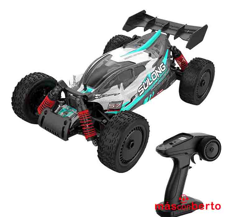 Coche Racing Sport 4WD...