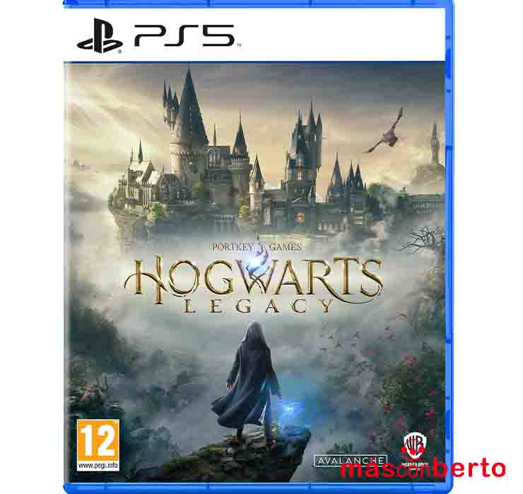 Juego PS5 Hogwarts legacy