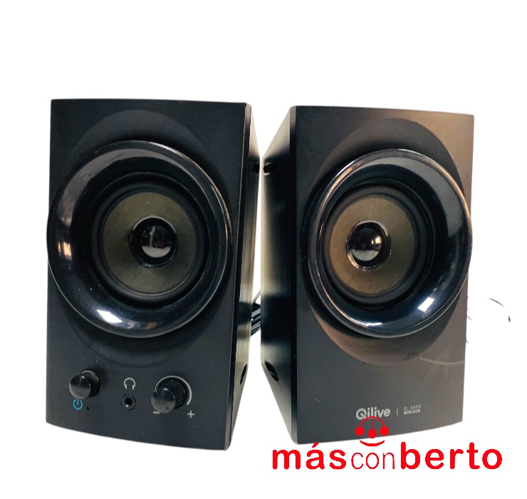 Altavoces PC 2.0 Qilive Q-...