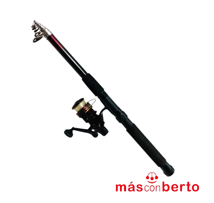 Caña Daiwa...