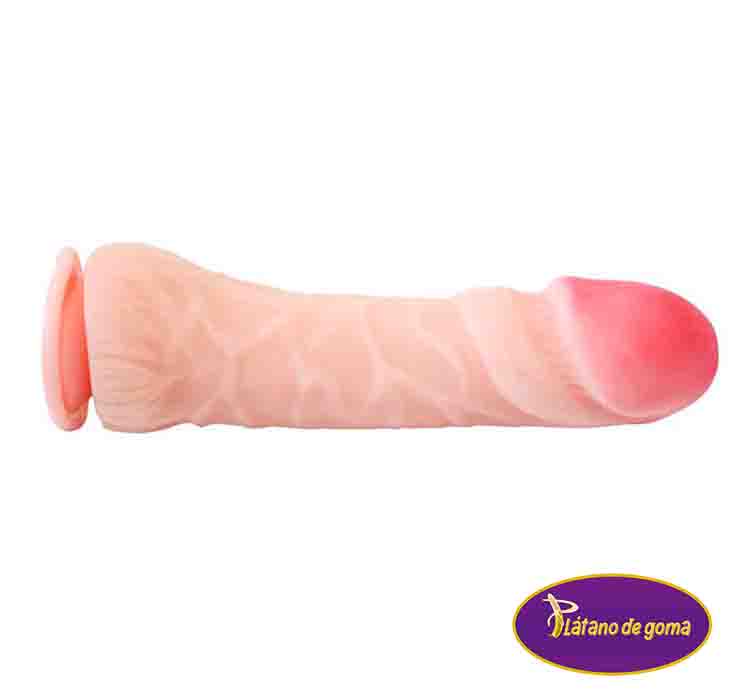 SS312 Dildo con ventosa...