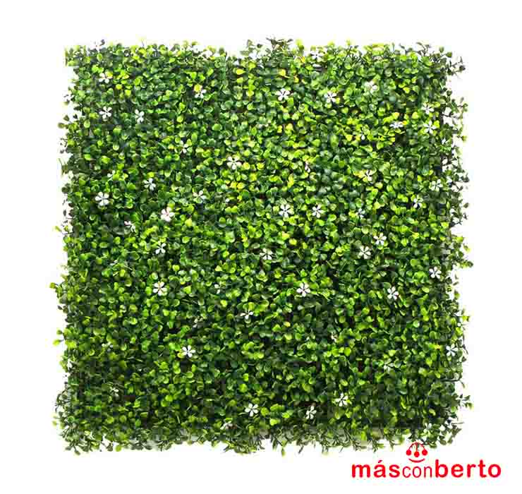 Jardin Vertical 50x50cm DG1275