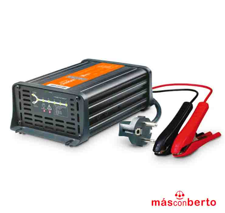 Cargador baterías Xunzel...