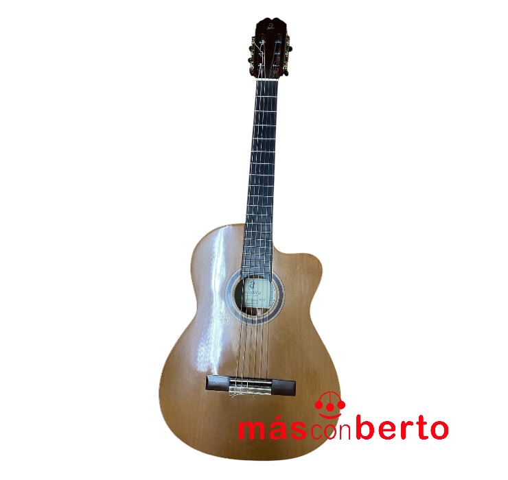 Guitarra electroacustica...