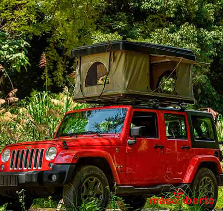 Tienda Techo Cubierta ABS...