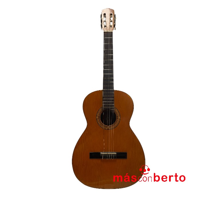 Guitarra española Vicente...