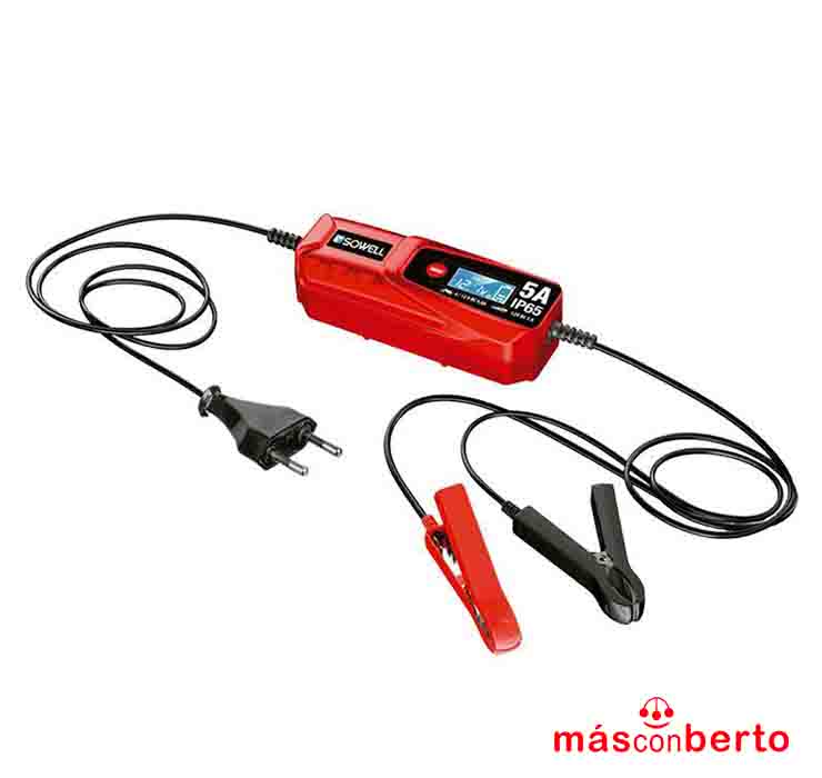 Cargador de Batería 6/12V...