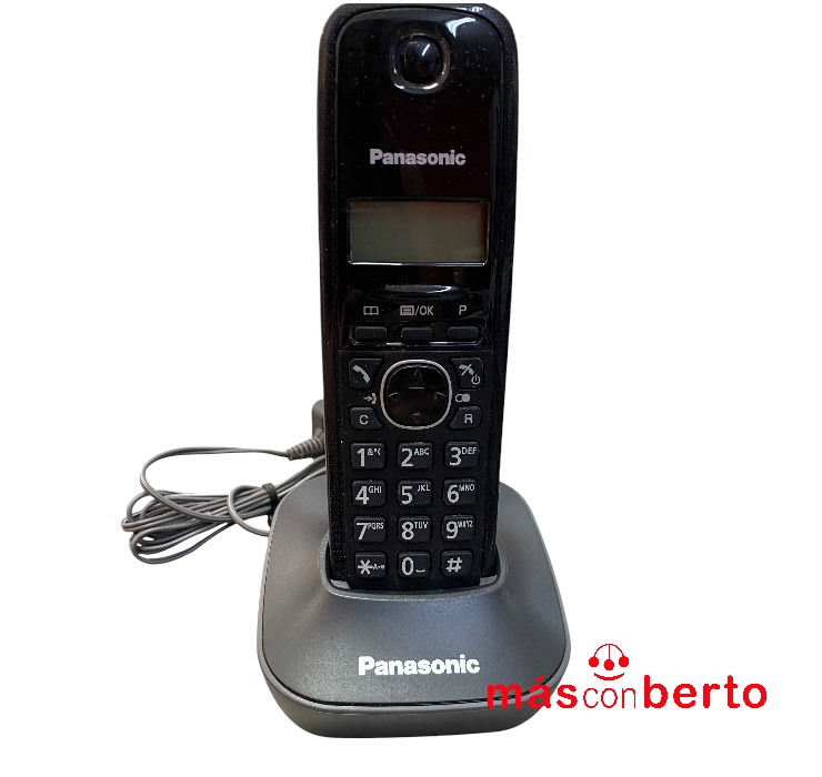 Teléfono Panasonic KX-TG1611SP
