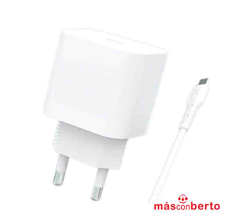 Cargador completo Tipo C-C...