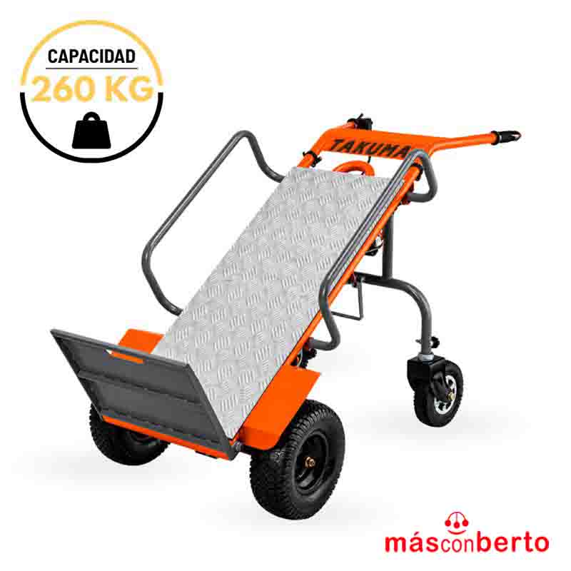 Carretilla Eléctrica 260Kgs...